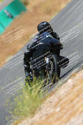 media/Jul-08-2023-2WTD (Sat) [[c8c0d2e149]]/C Group/1240pm (Turn 5)/